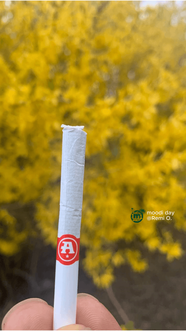 accidentally inhaled cigarette smoke while pregnant Smoking during pregnancy & exposure to secondhand smoke increases a baby's  risk of sleep-related infant death. Quitting can be hard, but it's one of  the best ways to protect yourself & your